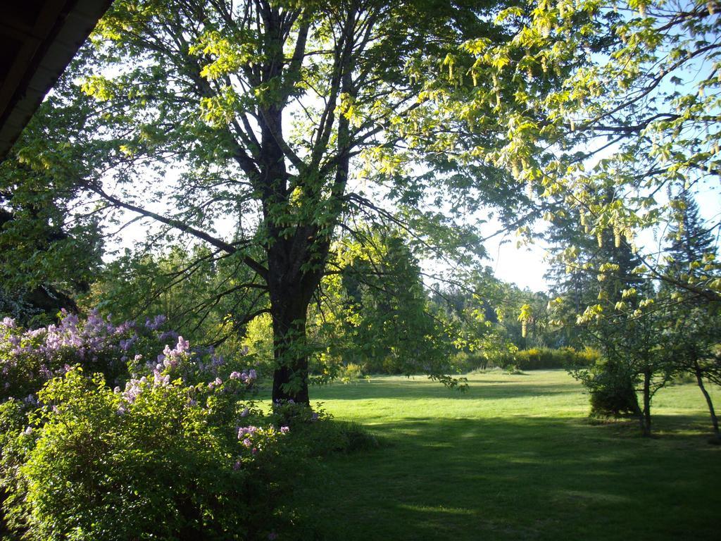 Lake Trail Guesthouse Cumberland Exteriér fotografie